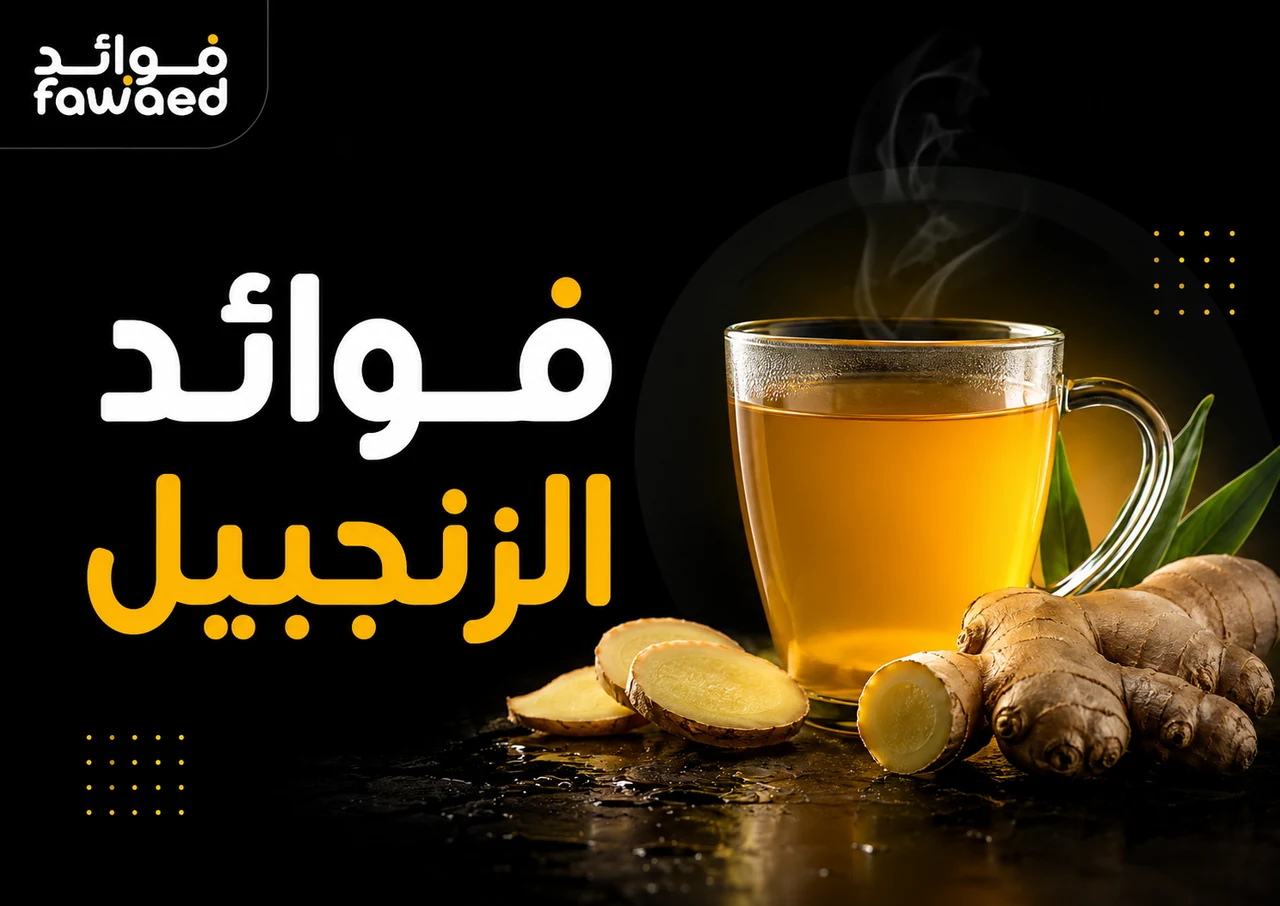 فوائد الزنجبيل: أهم الفوائد وطريقة الاستفادة بشكل عملي