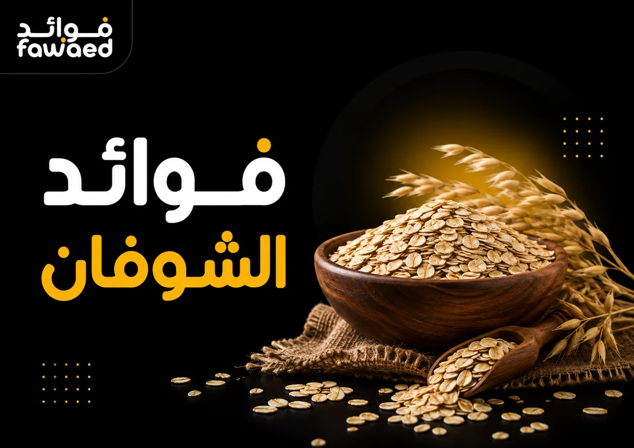 فوائد الشوفان: أهم الفوائد وطريقة الاستفادة بشكل عملي