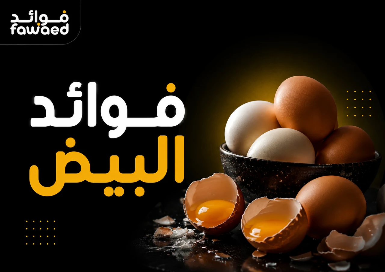 فوائد البيض: أهم الفوائد وطريقة الاستفادة بشكل عملي