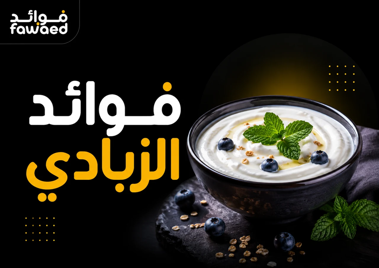 فوائد الزبادي: أهم الفوائد وطريقة الاستفادة بشكل عملي