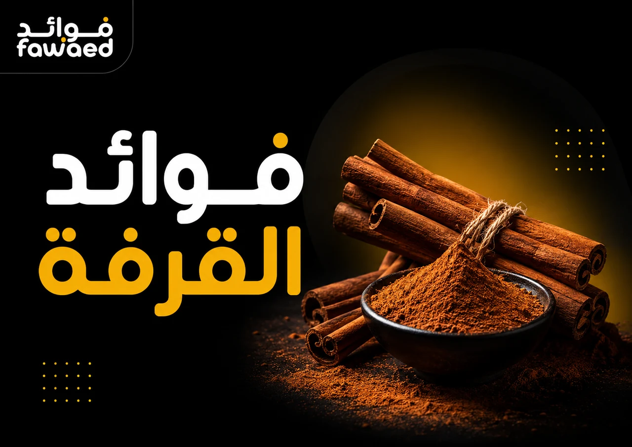 فوائد القرفة: أهم الفوائد وطريقة الاستفادة بشكل عملي
