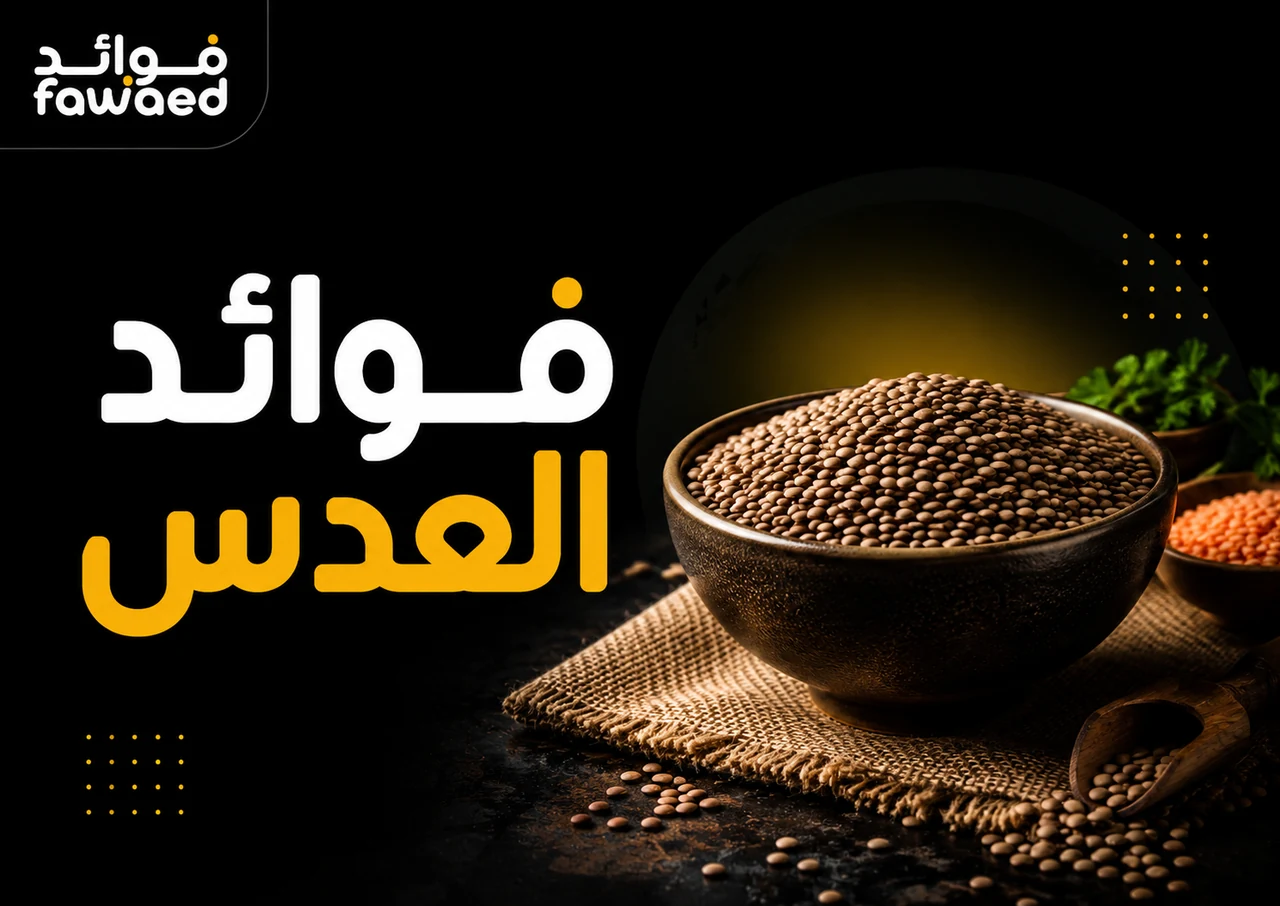 فوائد العدس: أهم الفوائد وطريقة الاستفادة بشكل عملي
